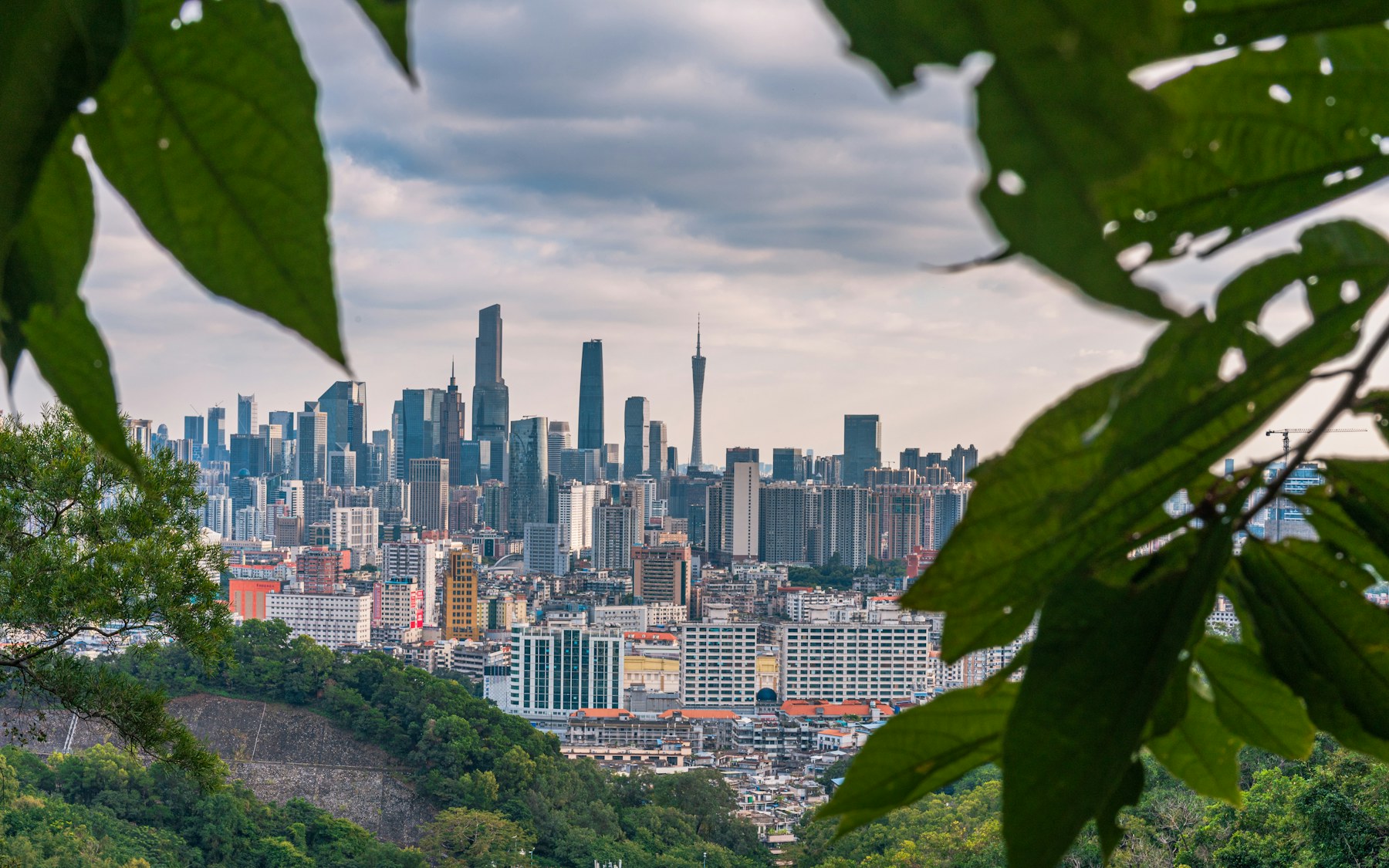 Vista urbana del distrito empresarial de Guangzhou entre vegetación